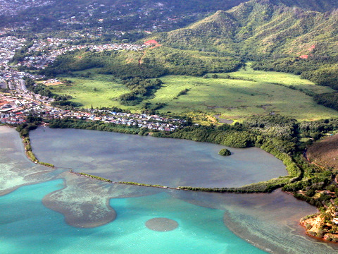 Loko Iʻa - Watershed Project